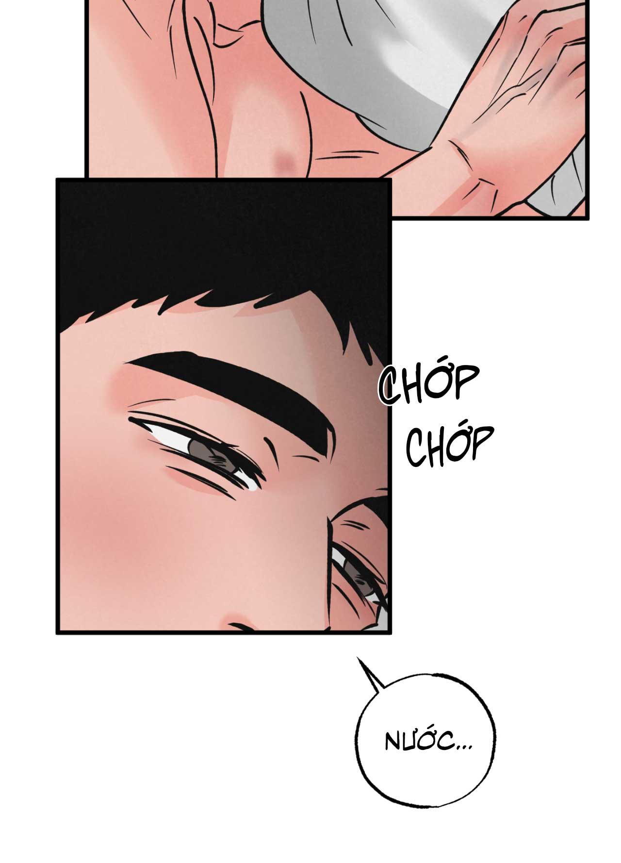 CẶP ĐÔI HOÀN HẢO Chapter 48 - Next Chapter 49