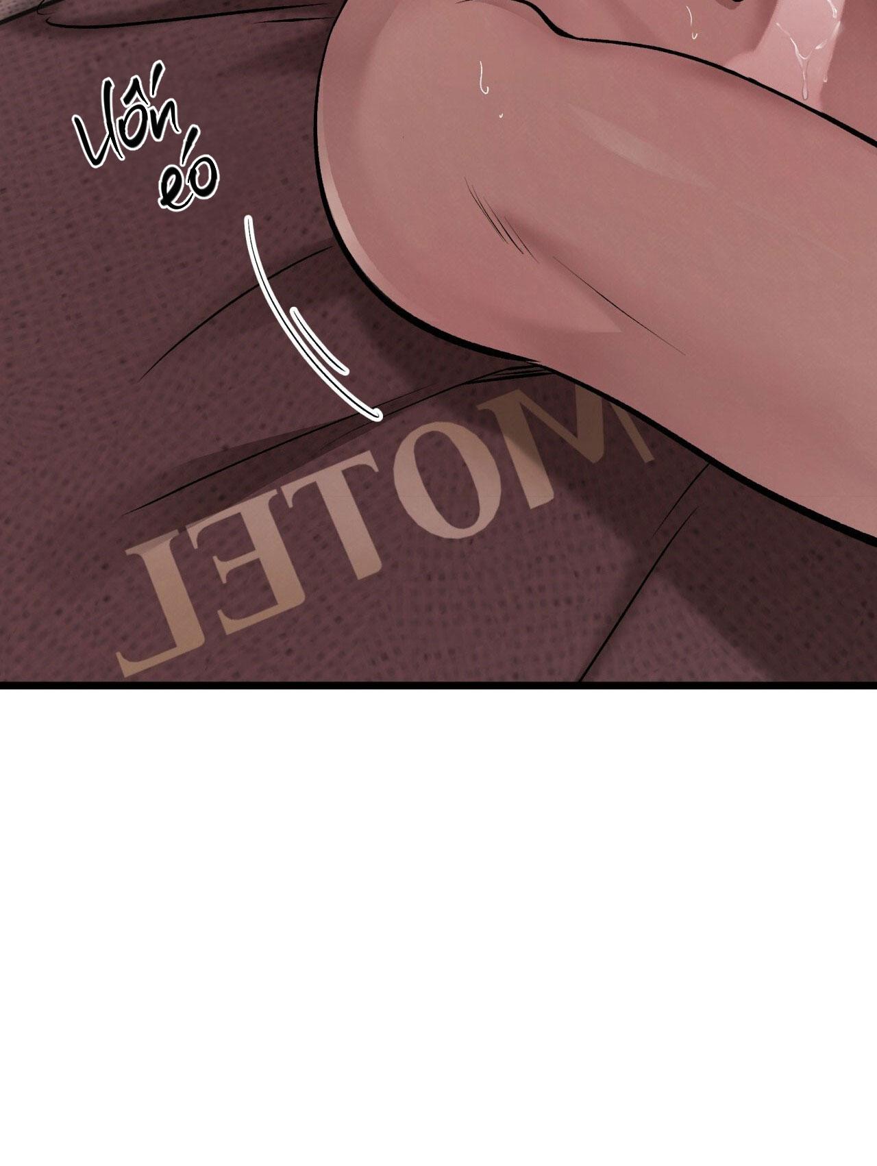 HONEY BEAR Chapter 65 - Next 