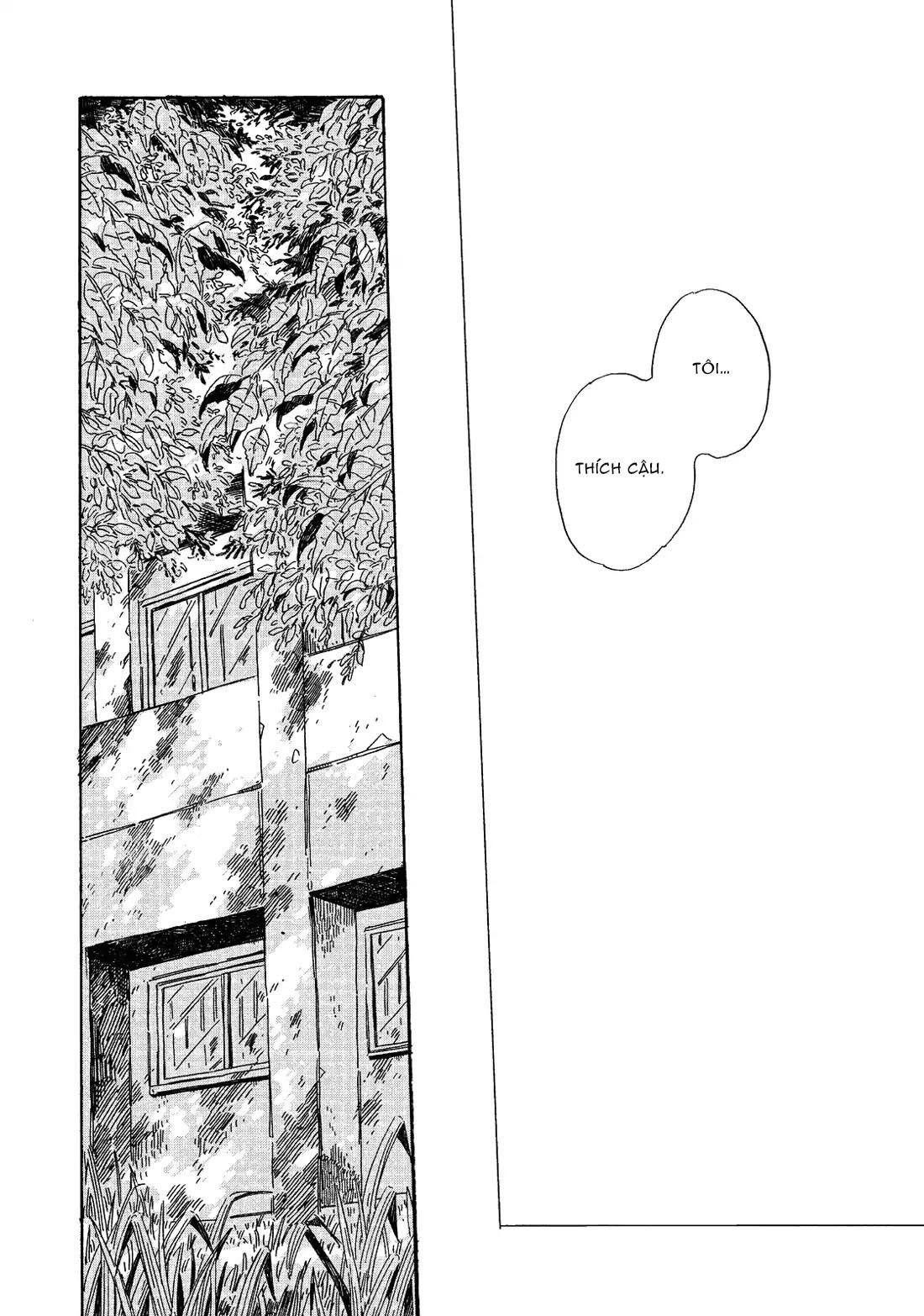Vũ Điệu Của Ánh Sáng Chapter 6 - Next 