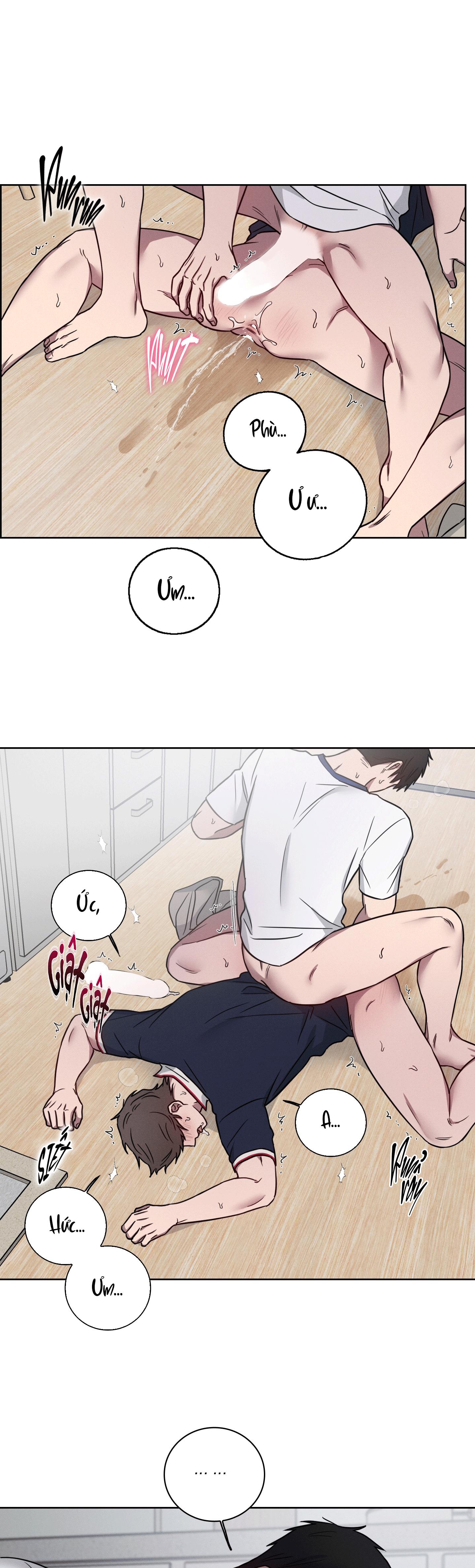 VỤ ÁN CON CU BIẾN MẤT Chapter 16 - Next Chapter 17