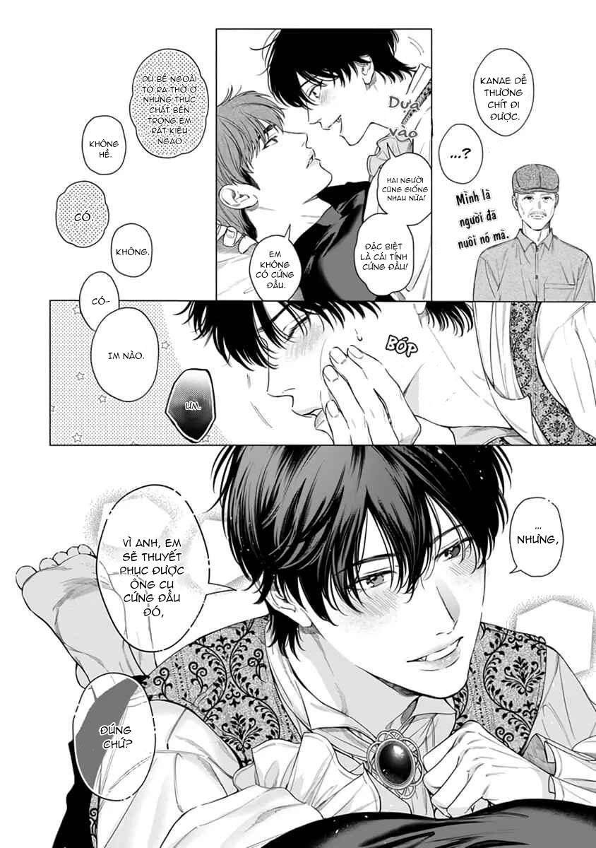 Viên Grarnet Trong Bóng Tối Chapter 6 - Next Chapter 7