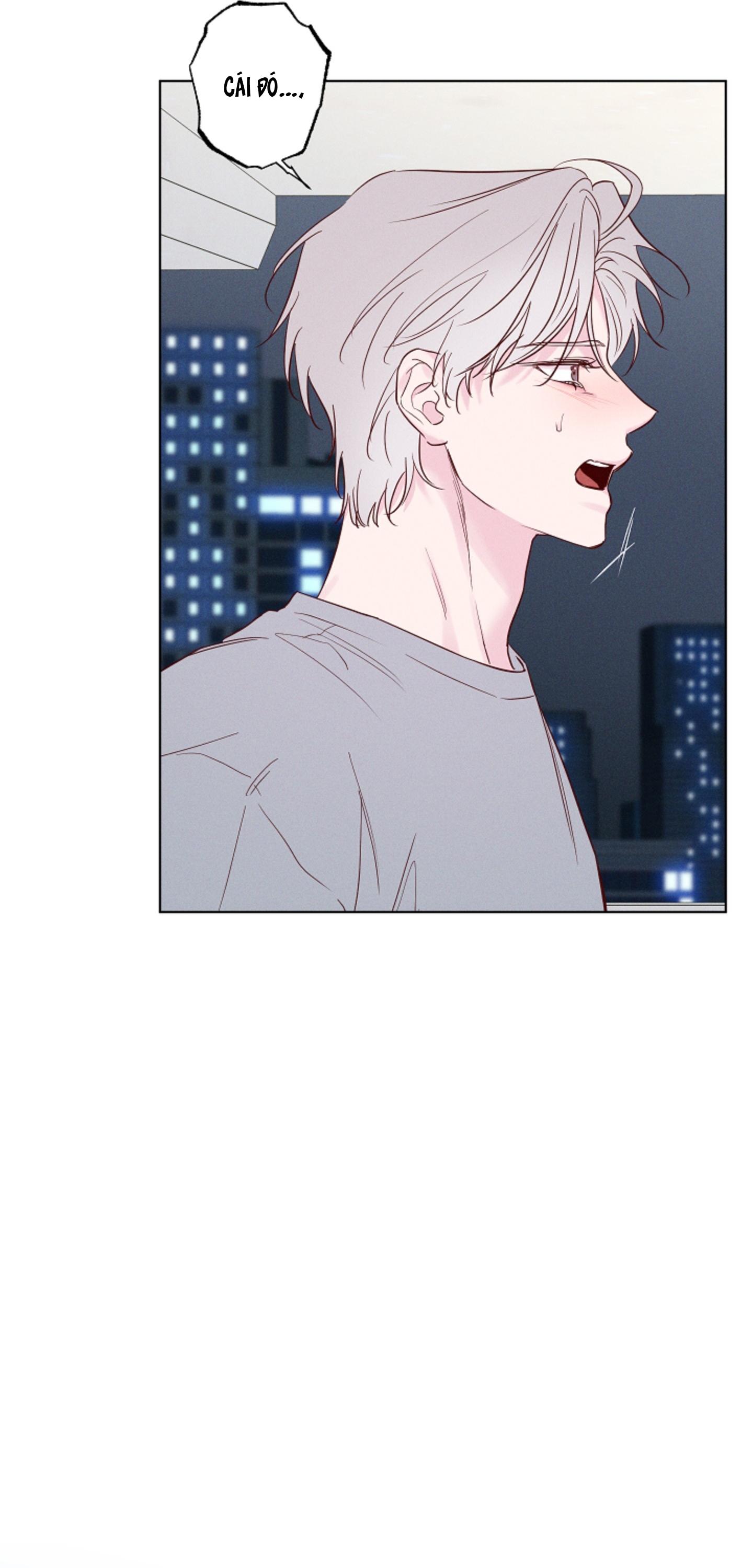 BỜ SÓNG VỖ Chapter 40 - Next 