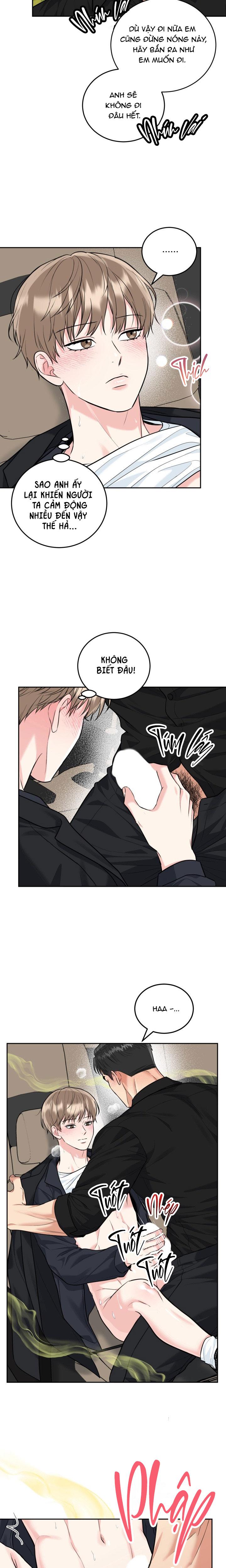 (ABO) HANG HỔ Chapter 69 - Next 