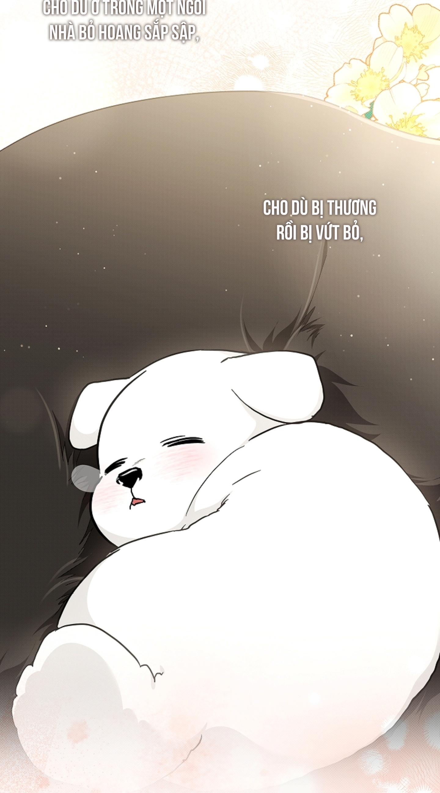 ĐỪNG ĐỘNG VÀO CÚN CON! Chapter 44 - Next 