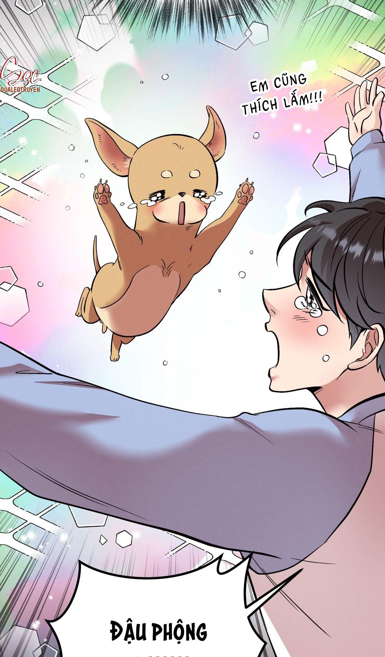 HONEY BEAR Chapter 71 - Next Chapter 72