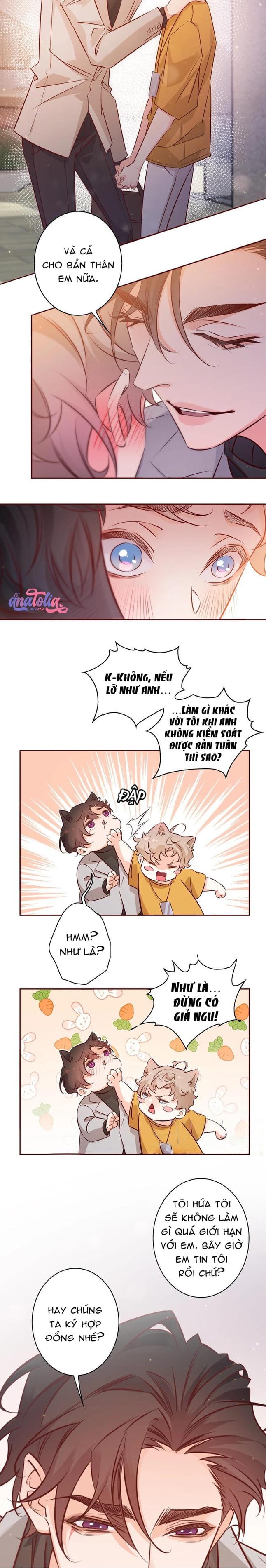 Yêu Em Bất Chấp Chapter 11 - Next 