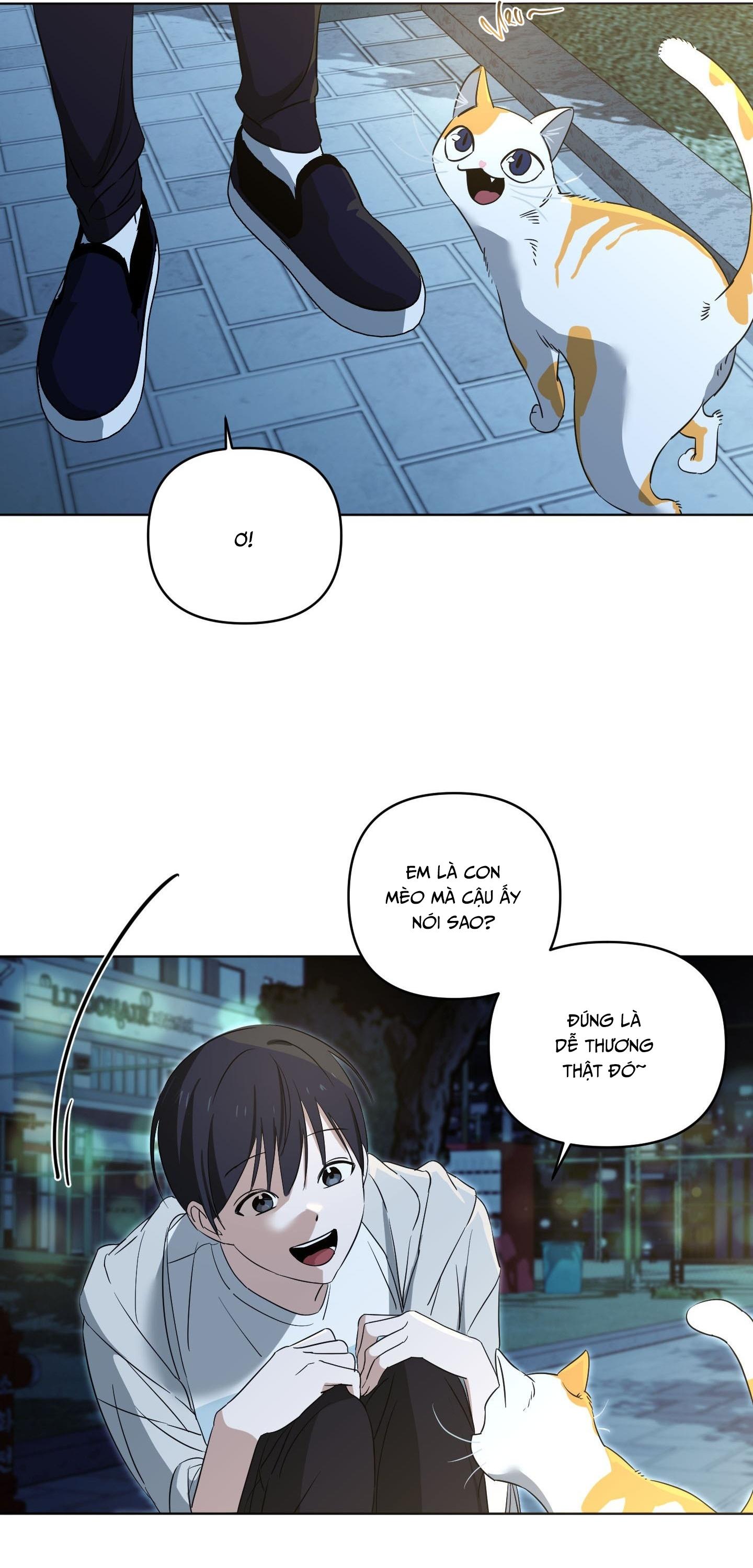 GUITAR ĐIỆN VÀ CÀ VẠT Chapter 12 - Next 