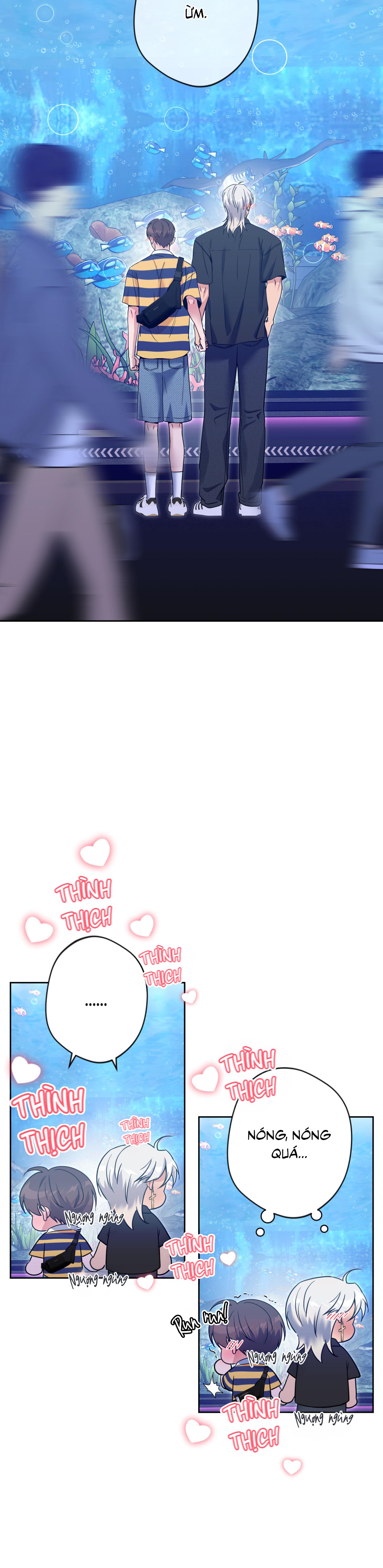 Angel kiss Chapter 50 End ss2 - Next 