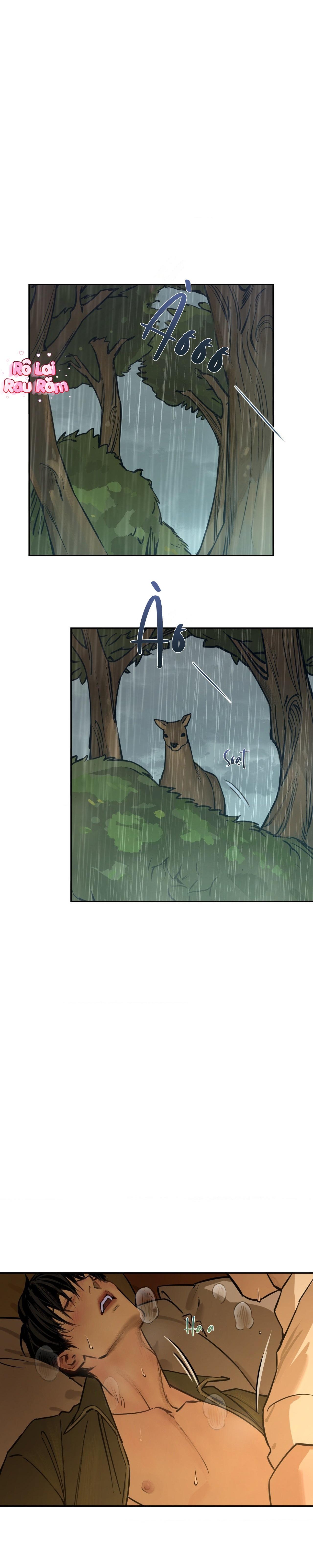 THE FALLEN LAMB Chapter 5 H+ lổ rái - Next 