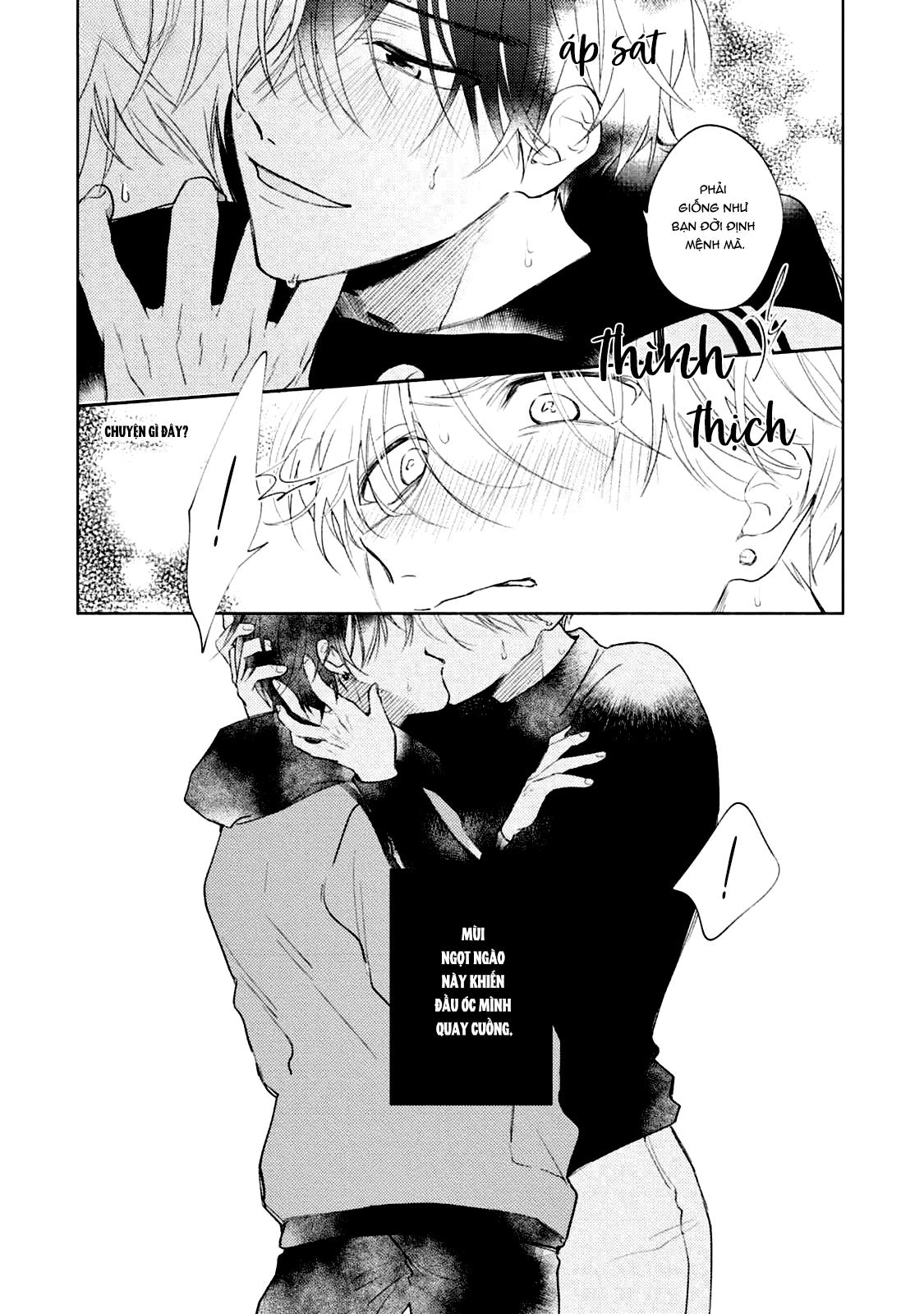 Bạn Đời Của Tôi Là Một Omega Thuần Chapter 1 H+ - Trang 2