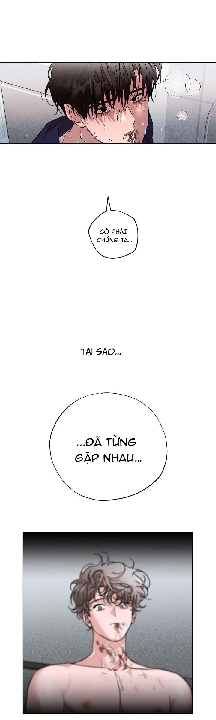 Người Yêu Của Anh Trai Tôi Chapter 31 - Next Chapter 32