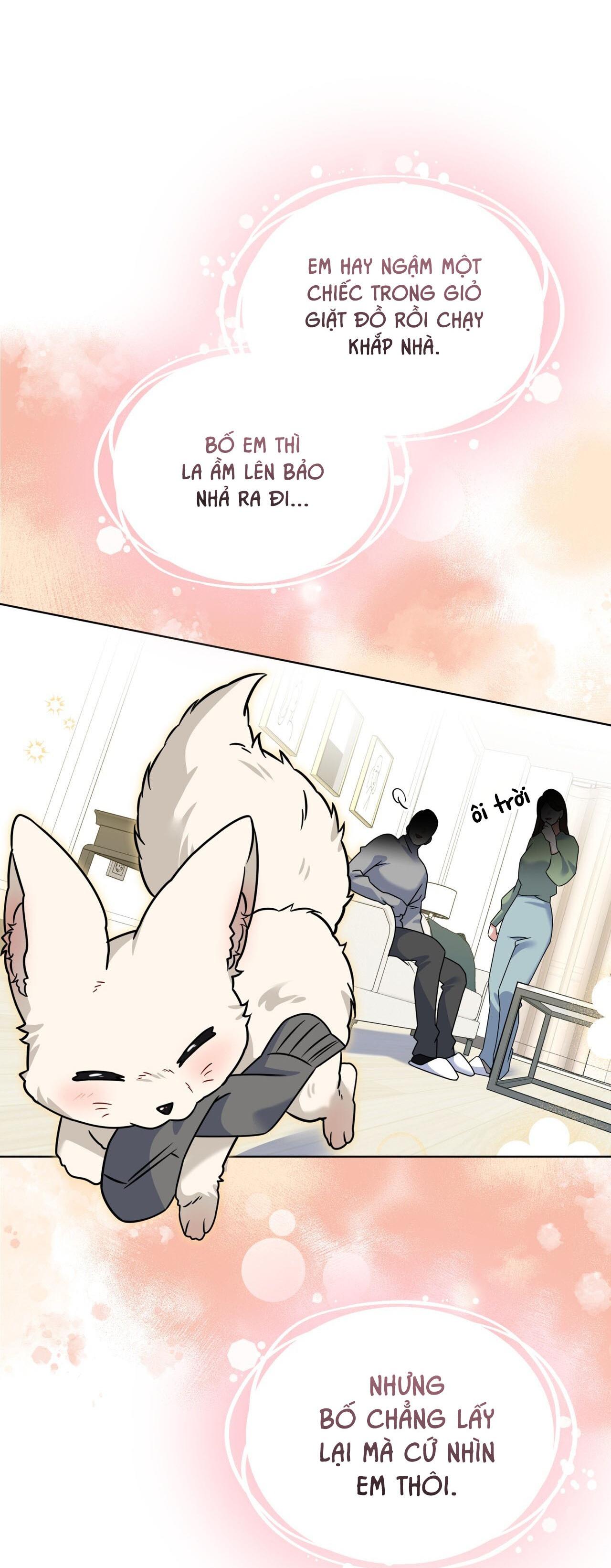 NƯỚC UỐNG TÌNH YÊU CỦA CÁO PLIN Chapter 46 - Next Chapter 47