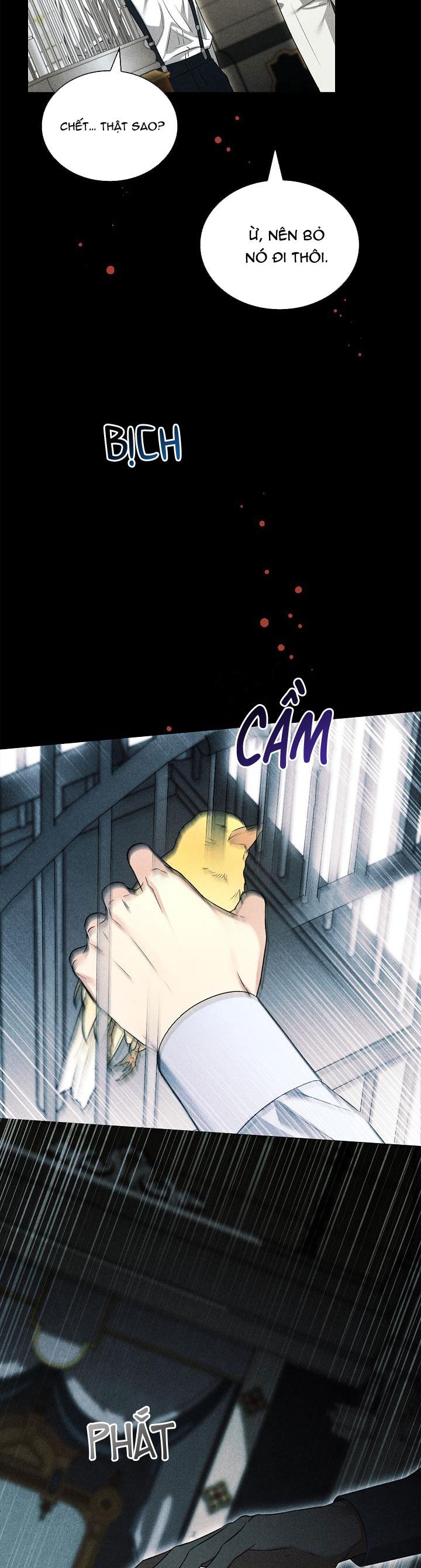 HÔN TÔI NẾU CÓ THỂ Chapter 23 - Next Chapter 24