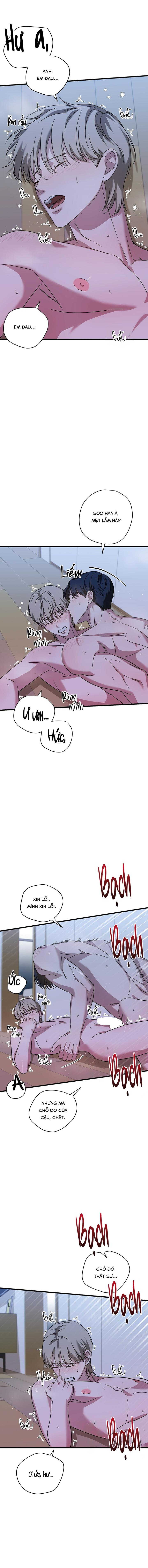 HỢP ĐỒNG KẸO Chapter 25 - Next 