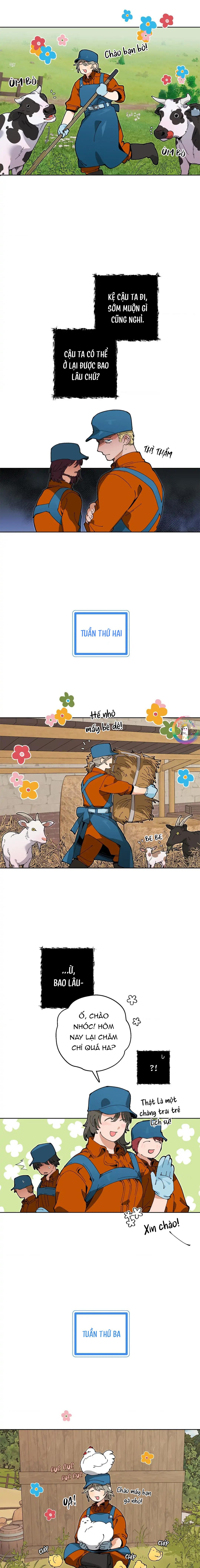 Trang Trại Của Mr.A Chapter 5 - Next 