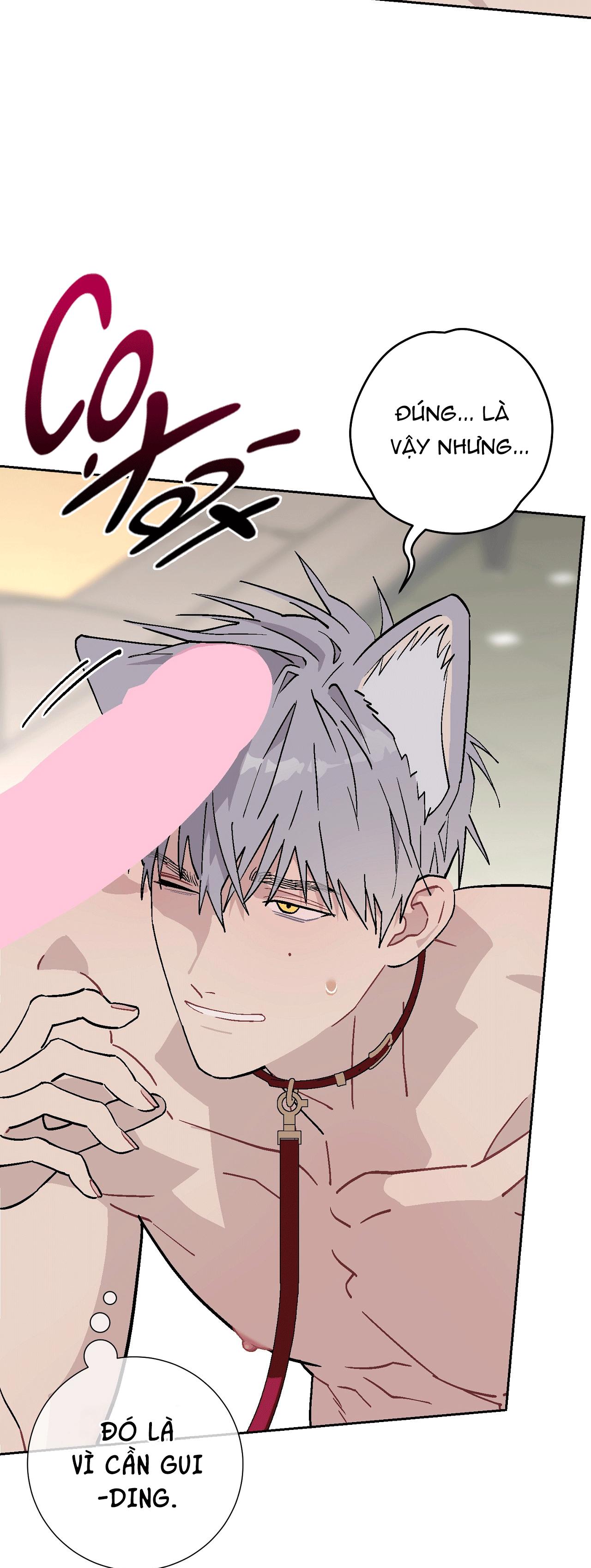 GUIDE ESPER NGẮN Chapter 4.7 esperđịnhmệnhnt - Next Chapter 4.8 esperđịnhmệnhnt
