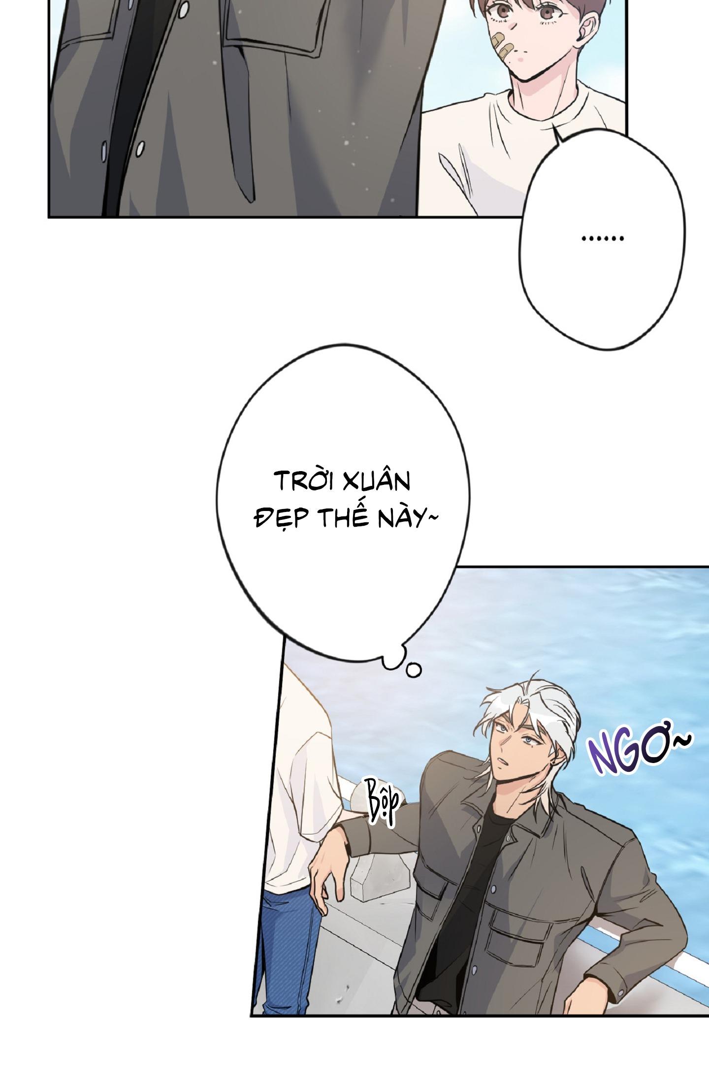 Angel kiss Chapter 3 - Trang 2