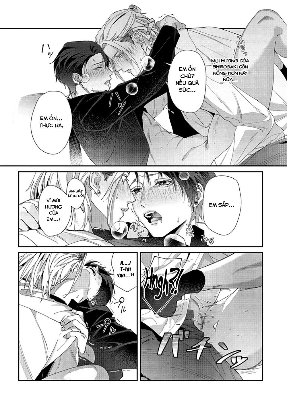 Chuyện Về Cặp Đôi Nhà Shima-chan Chapter 6 - Next 