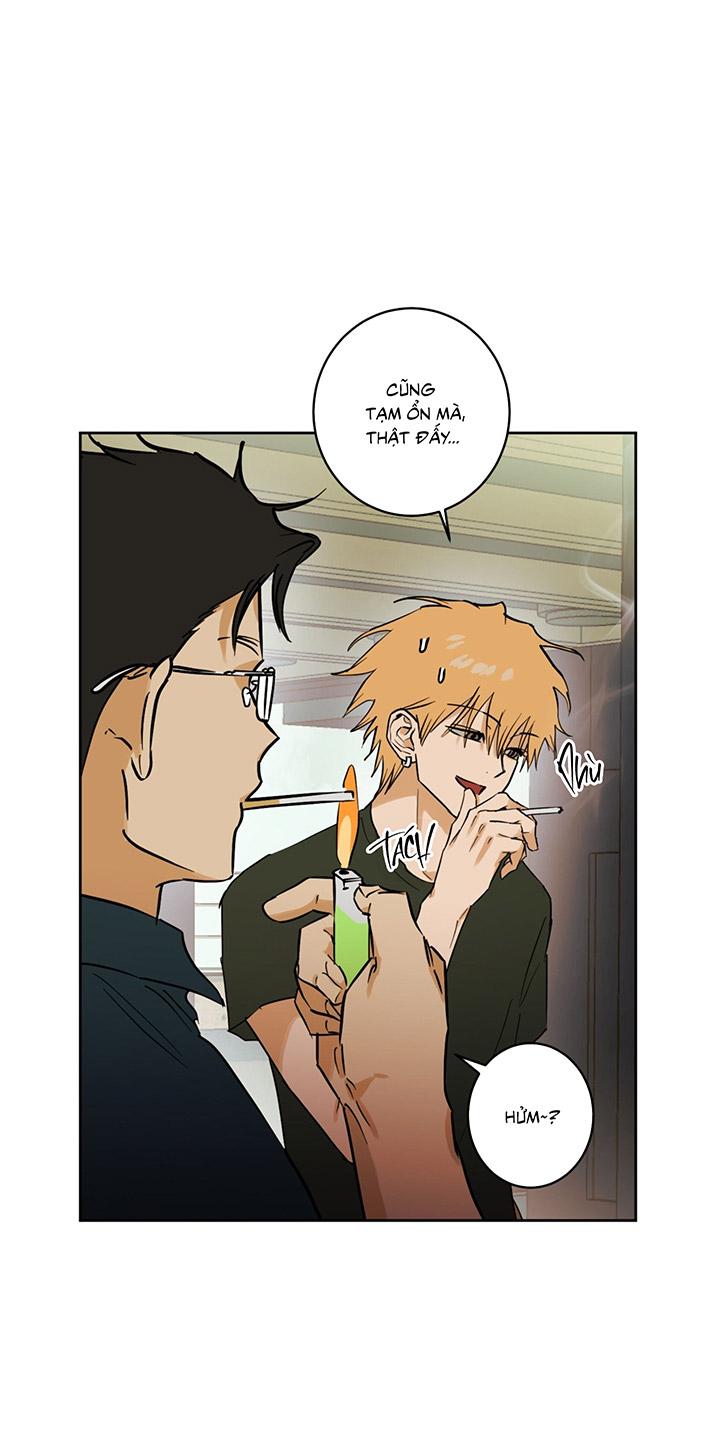 [DDT] Phiên Bản Hoàn Hảo Chapter 2 19+ - Trang 2