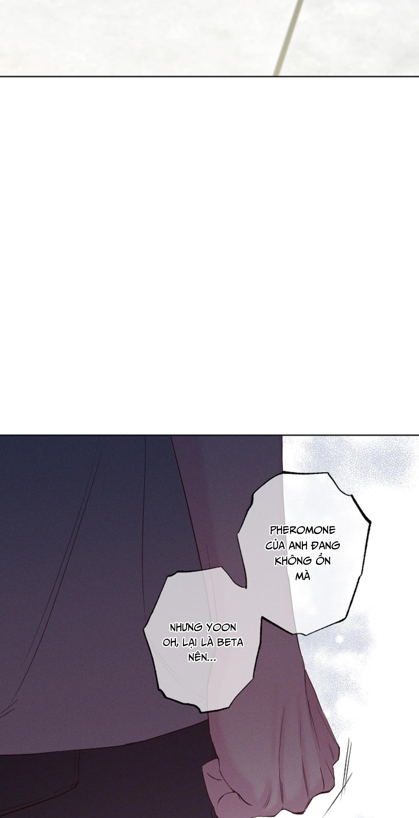 BỜ SÓNG VỖ Chapter 40 - Next 