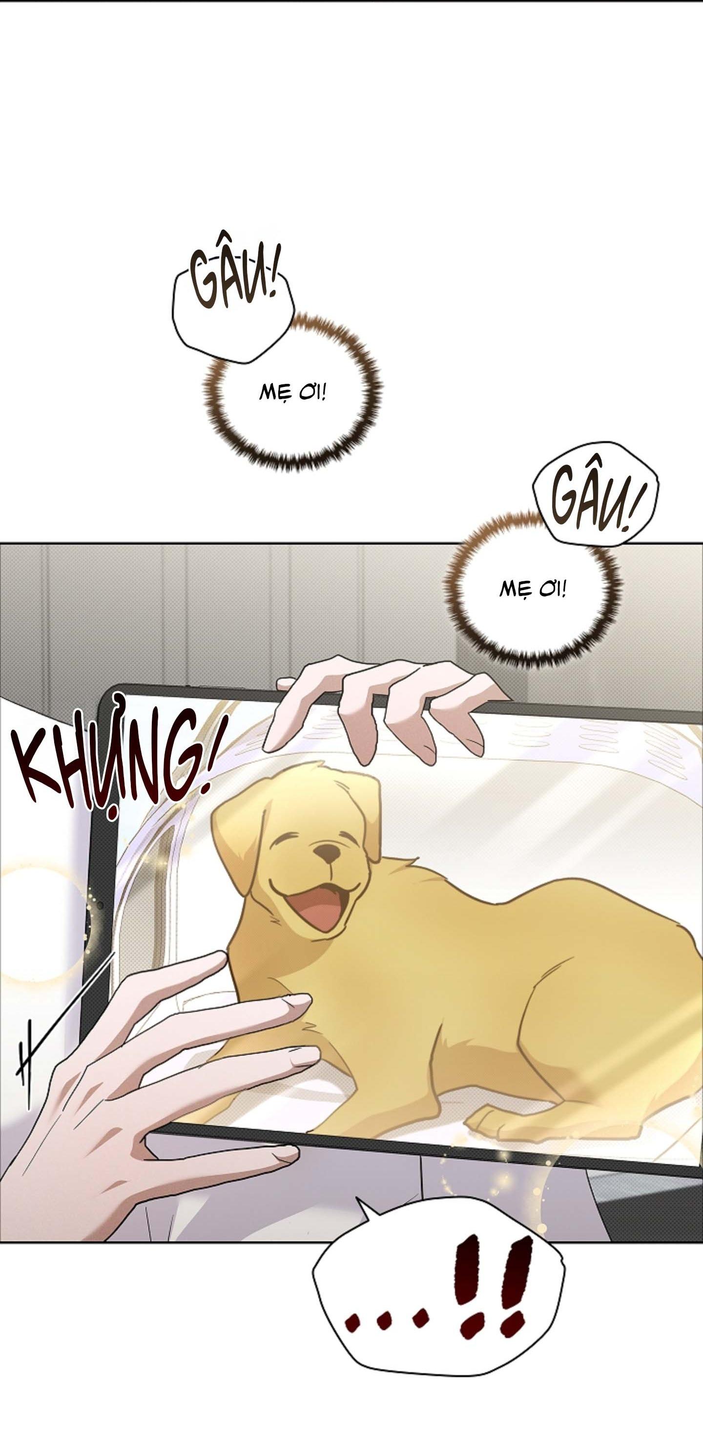 ĐỪNG ĐỘNG VÀO CÚN CON! Chapter 44.06 - Trang 2