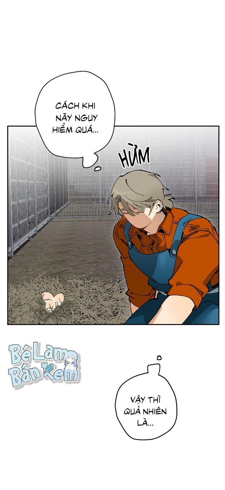 Mr.A's Farm Chapter 9 - Next 