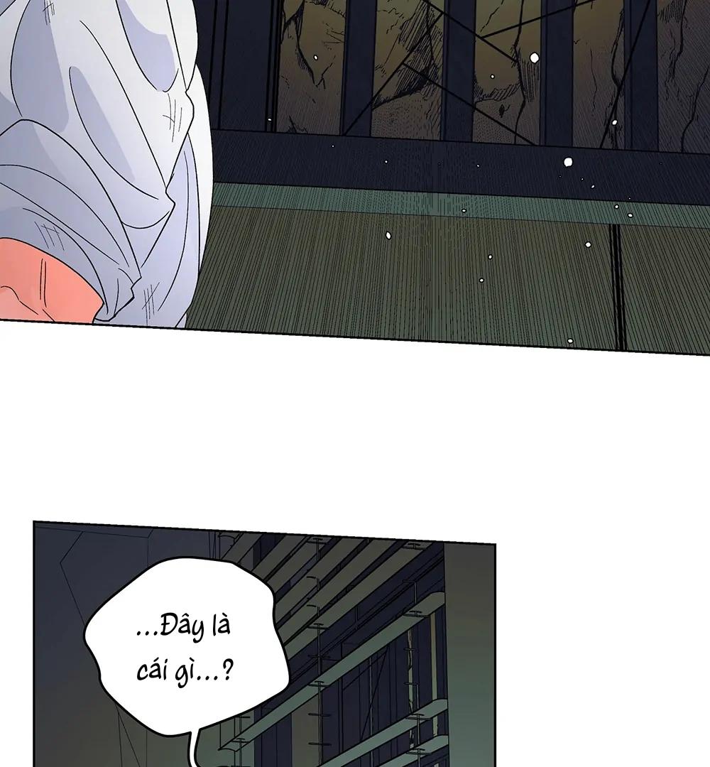 Kế Hoạch Trốn Thoát Chapter 3 - Next 