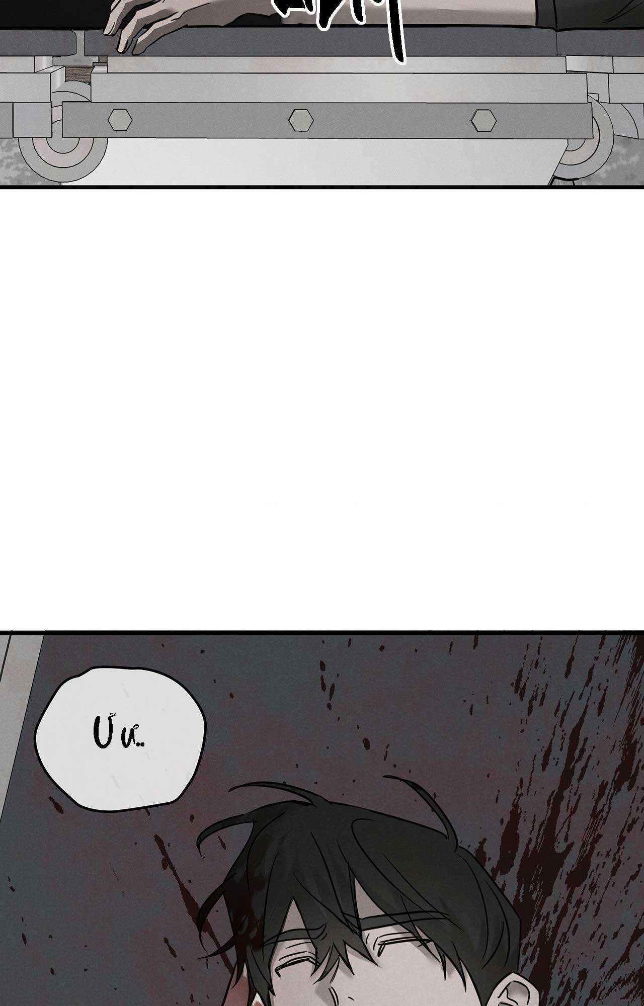 FIETA Chapter 23 - Next 