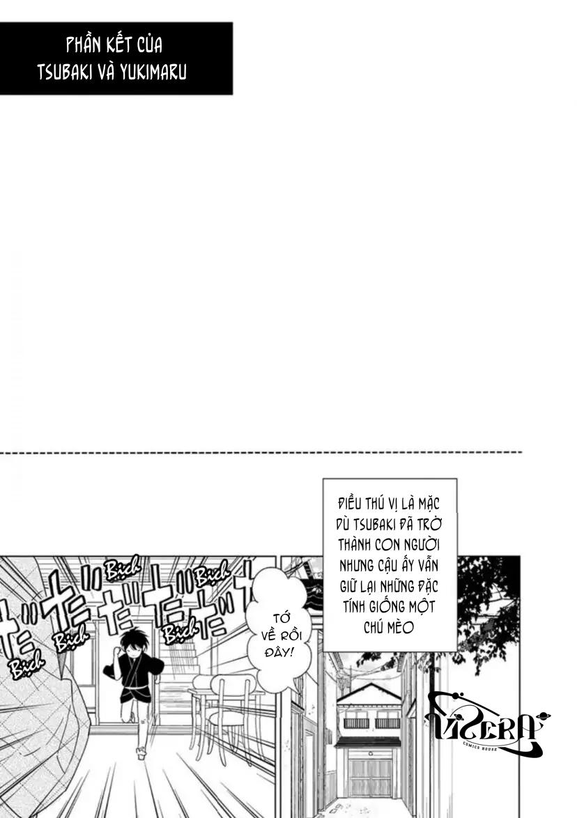 Vào Một Đêm Đầy Sao, Tình Yêu Đã Đến Chapter 5 - Next 