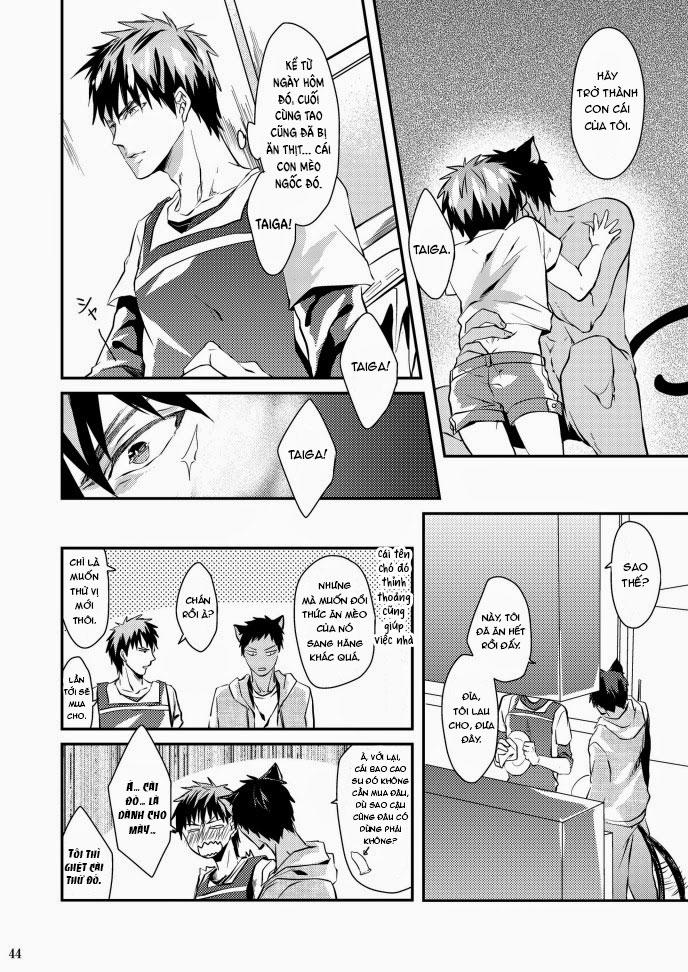 Oneshot hỏny Chapter 423 - Next Chapter 424