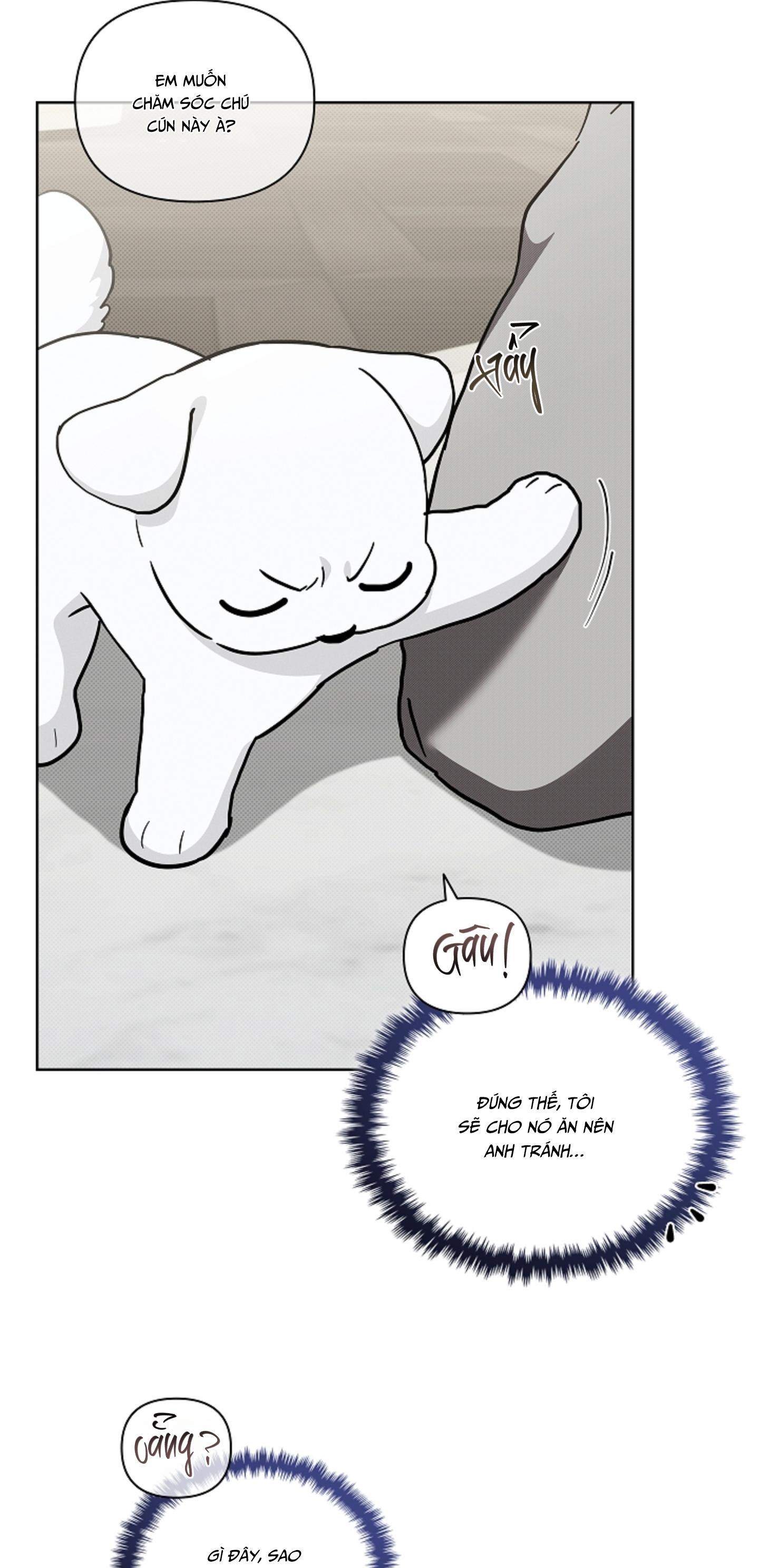 ĐỪNG CHẠM VÀO CÚN CON CỦA TÔI Chapter 47 NT 3 - Next 