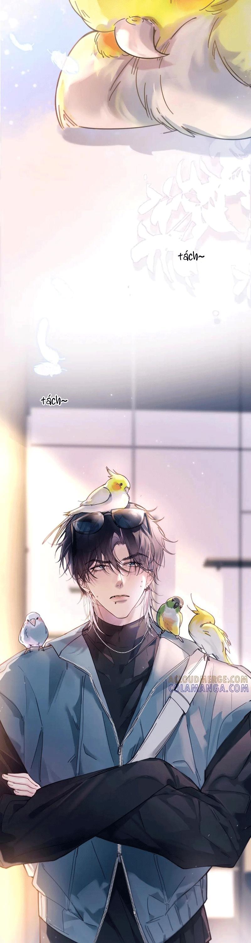 Tinh Vệ Chapter 36 - Next 