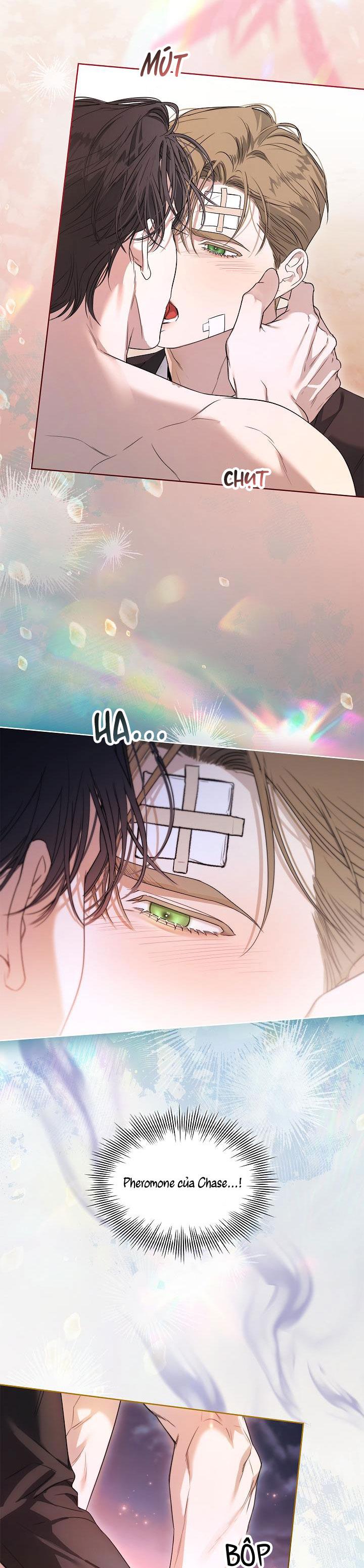 HÔN TÔI NẾU CÓ THỂ Chapter 27 18+ - Next Chapter 28