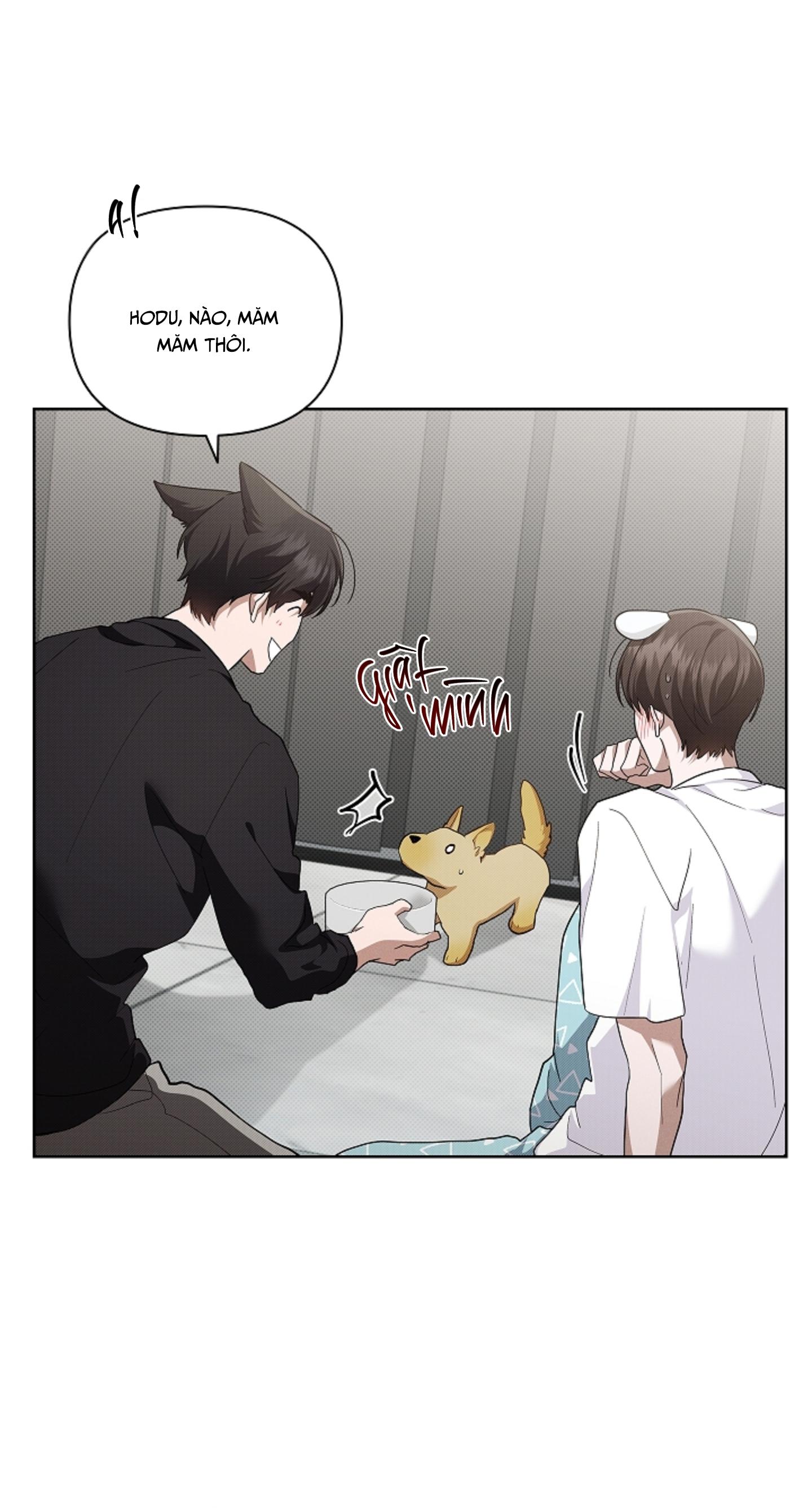 ĐỪNG CHẠM VÀO CÚN CON CỦA TÔI Chapter 46 NT 2 - Next 