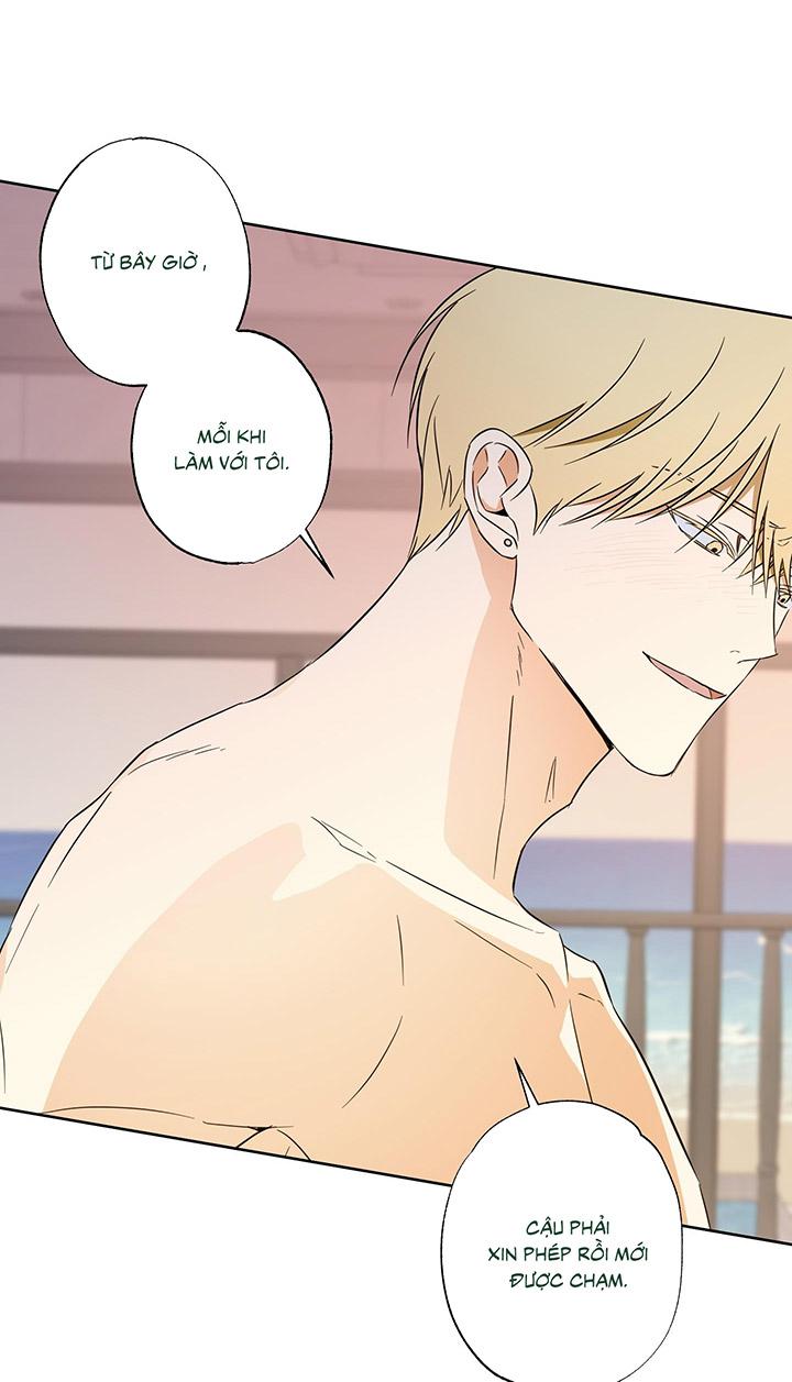 [DDT] CHIẾN LƯỢC ĐOẠT TÂM CỦA CUỘC TÌNH ĐƠN PHƯƠNG Chapter 11 19+ - Trang 2