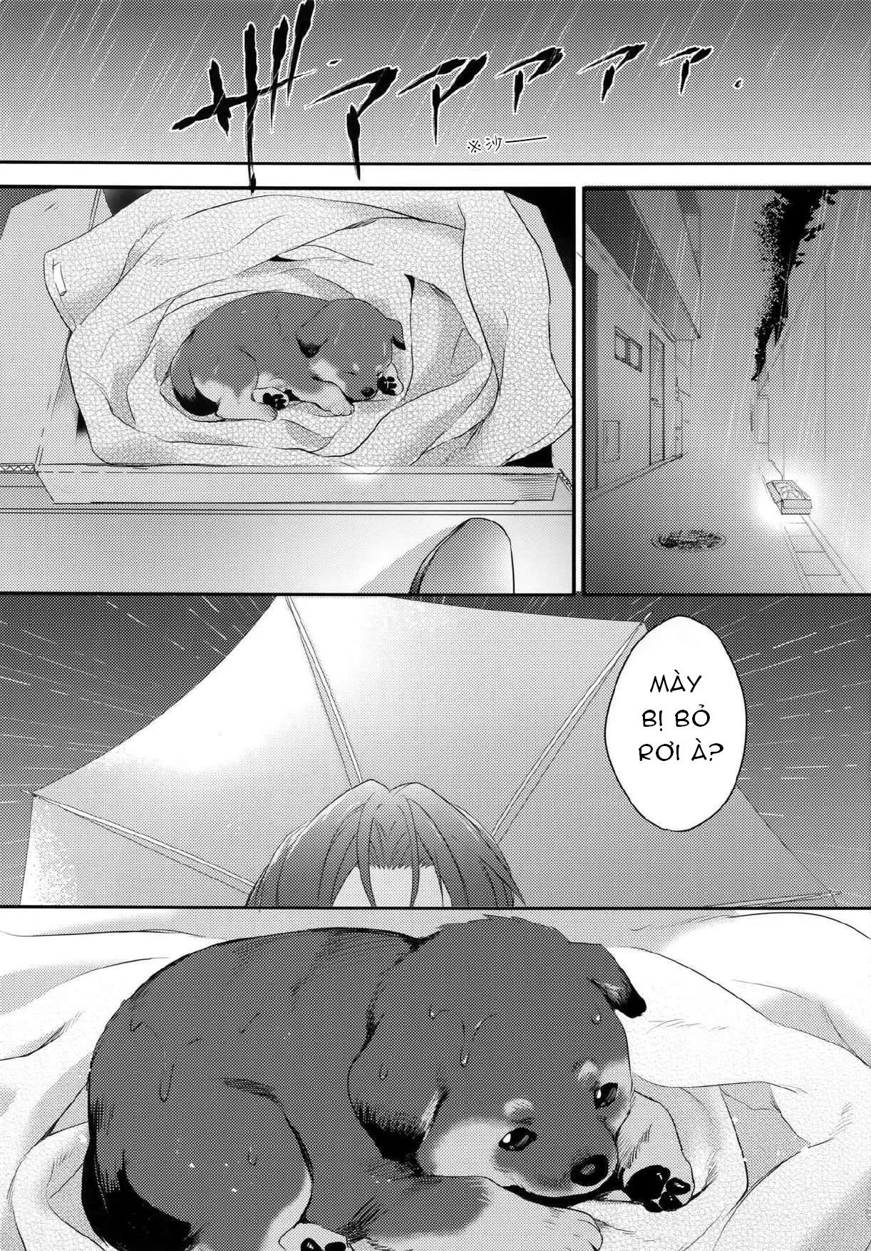Doujinshi Tổng Hợp Chapter 303 - Next Chapter 304