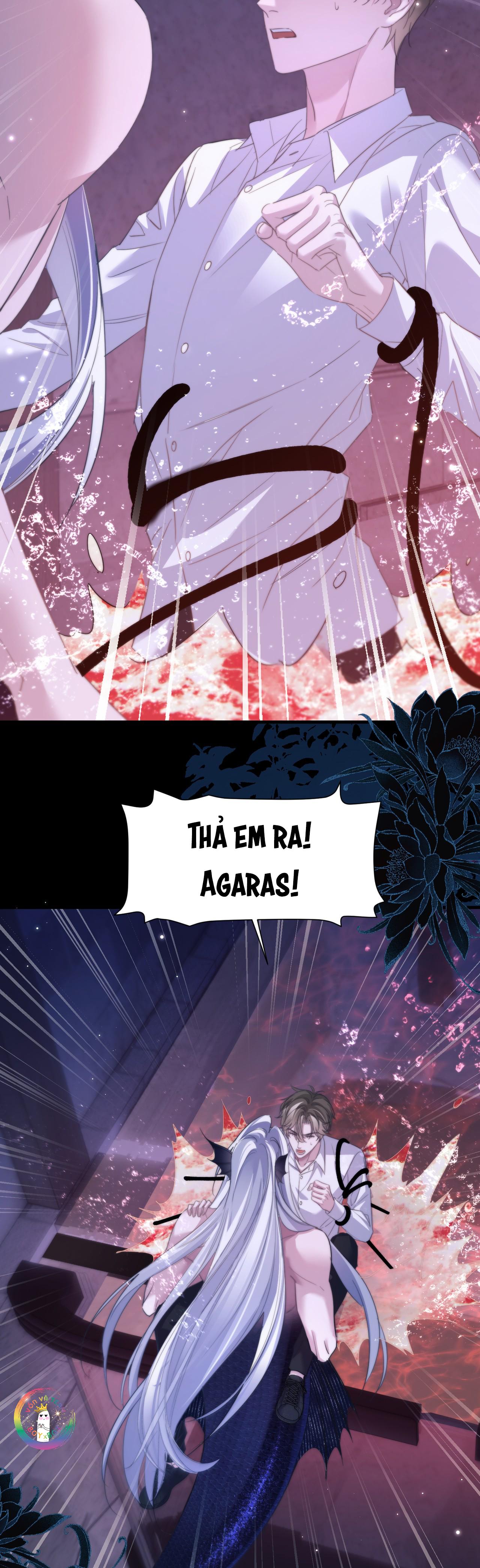 Nhân Ngư Desharow Chapter 111 - Next 