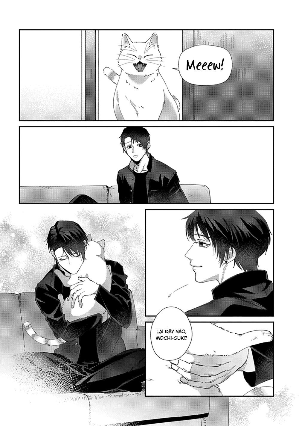 Chuyện Về Cặp Đôi Nhà Shima-chan Chapter 6 - Next 