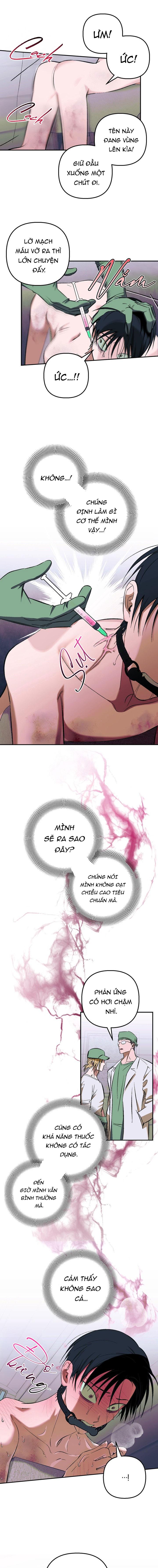 THÚ CƯNG DAMDANG Chapter 9.2 bản báo cáo 2 - Trang 2
