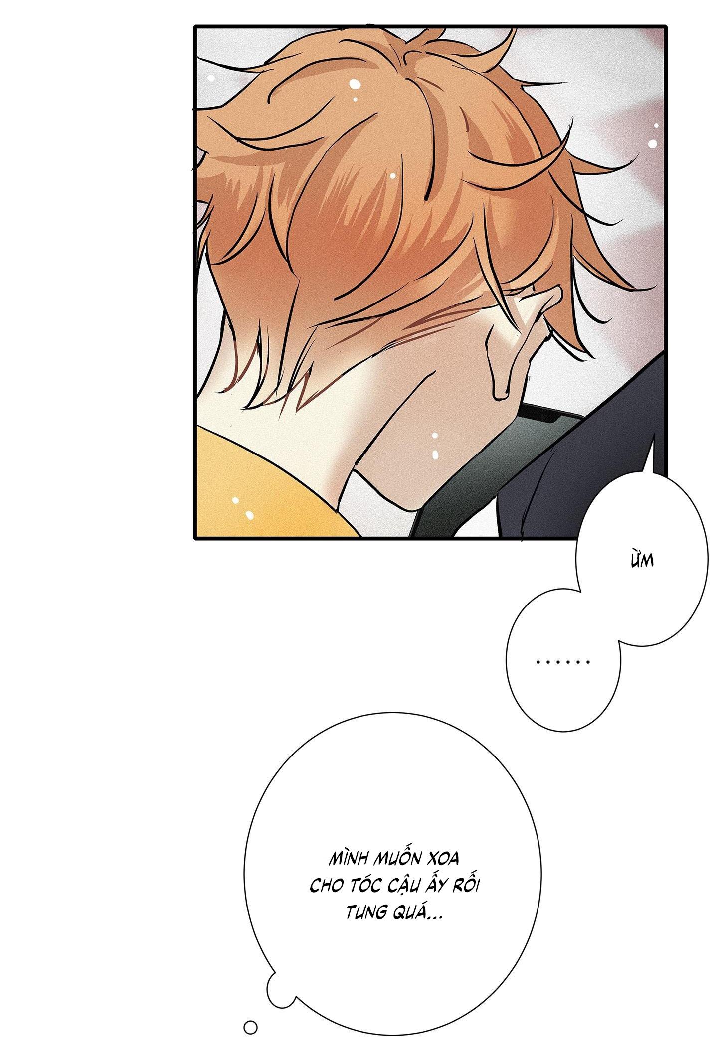 (CBunu) Tình yêu và danh vọng Chapter 72 - Next 