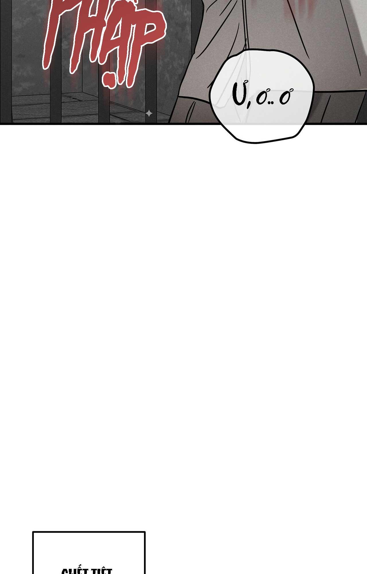 FIETA Chapter 23 - Next 