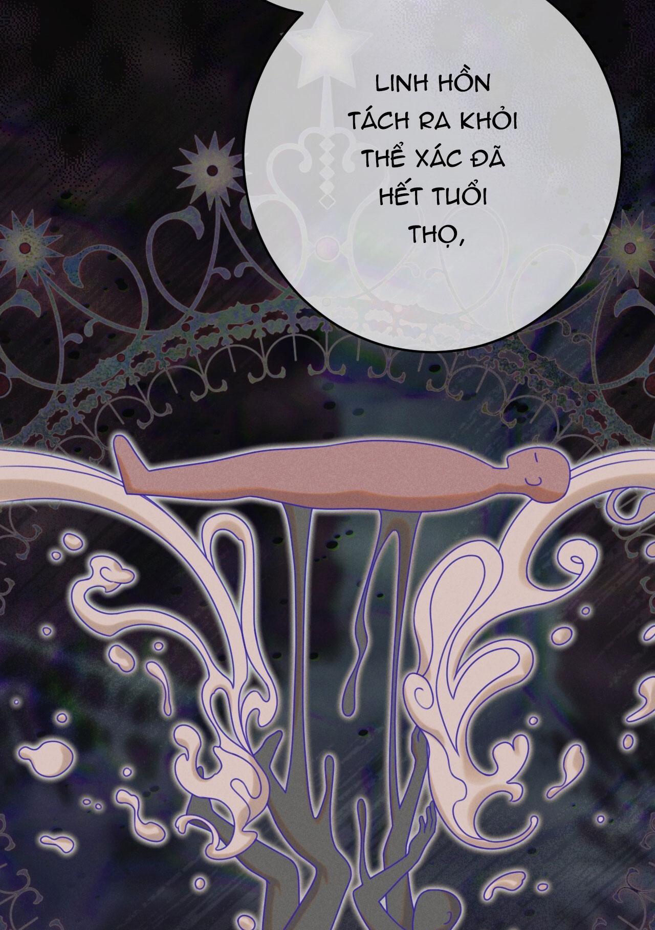 QUẺ BÓI GIẤC MƠ CỦA YÊU TINH Chapter 55 - Next 