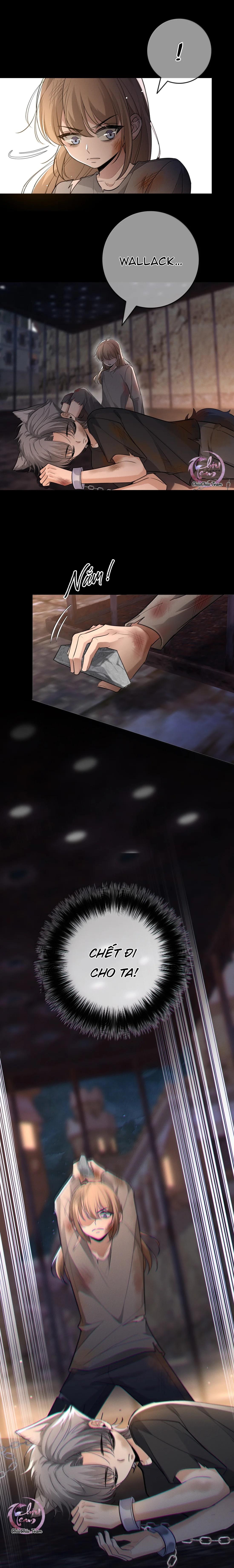 Phệ Chủ Chapter 47 - Next Chapter 48