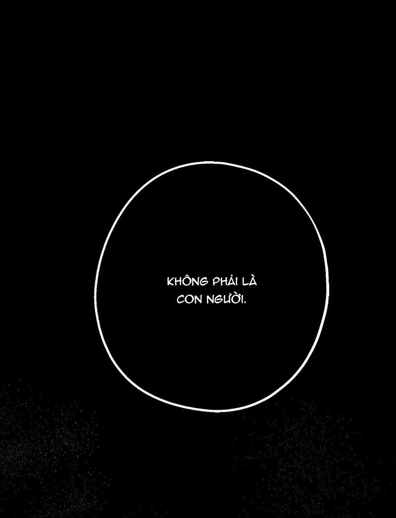 Hãy khóc đi đừng ngại ngùng! Chapter 38 - Next 