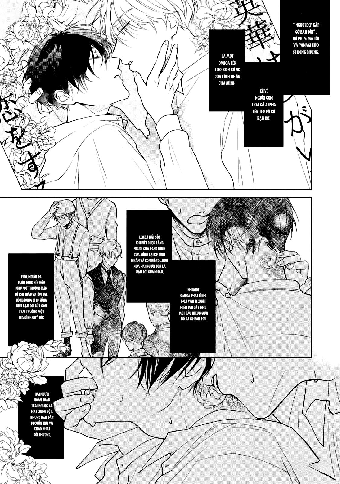 Bạn Đời Của Tôi Là Một Omega Thuần Chapter 1 H+ - Trang 2