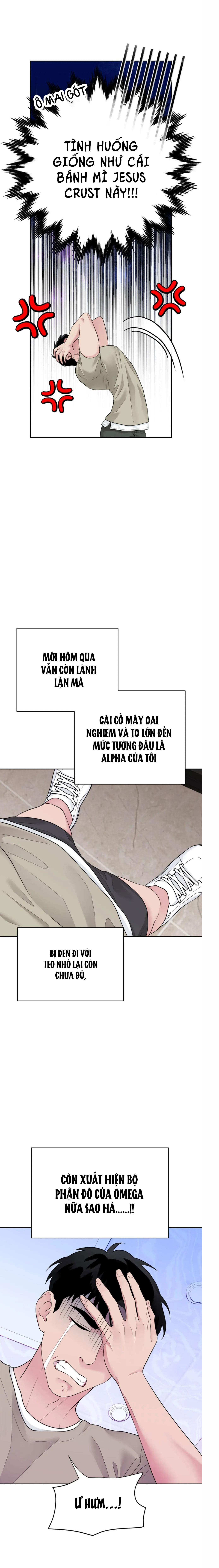 TUYỂN TẬP ABO - MANG THAI NGẮN CỦA NHÀ SẸC Chapter 67.1 omega 1 - Next 