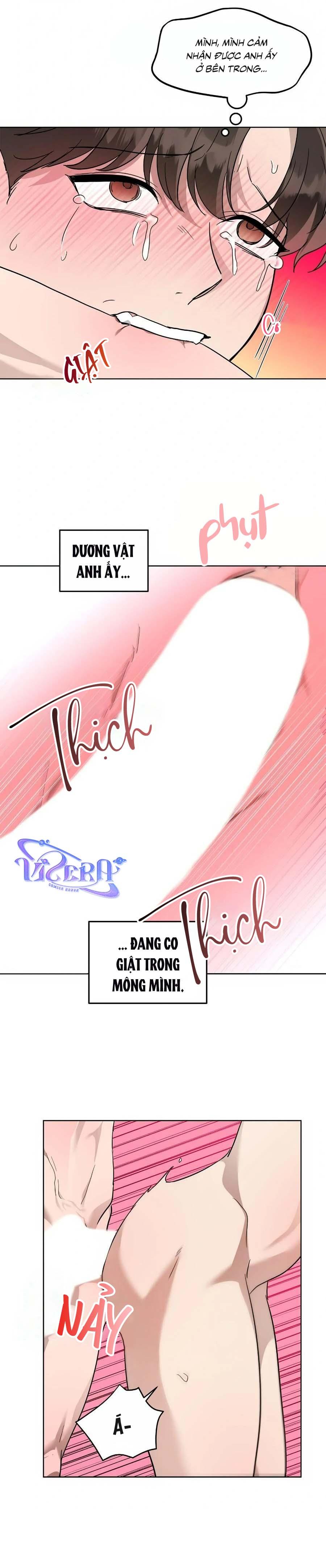 Niềm An Ủi Ngày Chủ Nhật Chapter 67 - Next Chapter 68