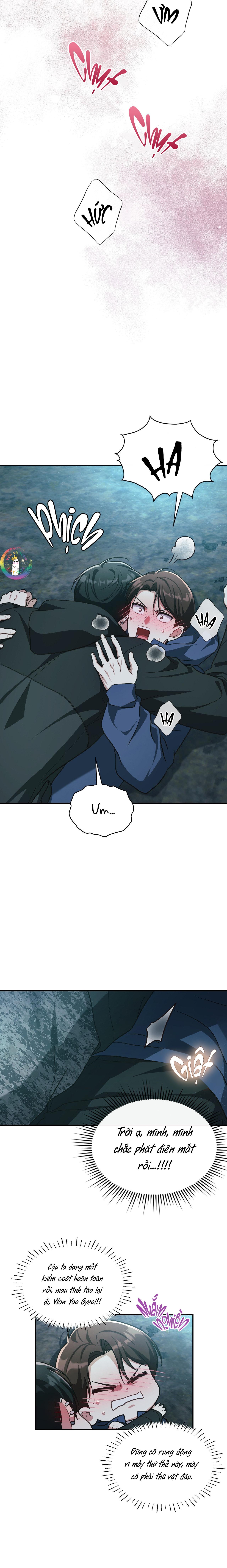 Dù Không Phải Guide Định Mệnh Của Cậu Chapter 19 - Next Chapter 20