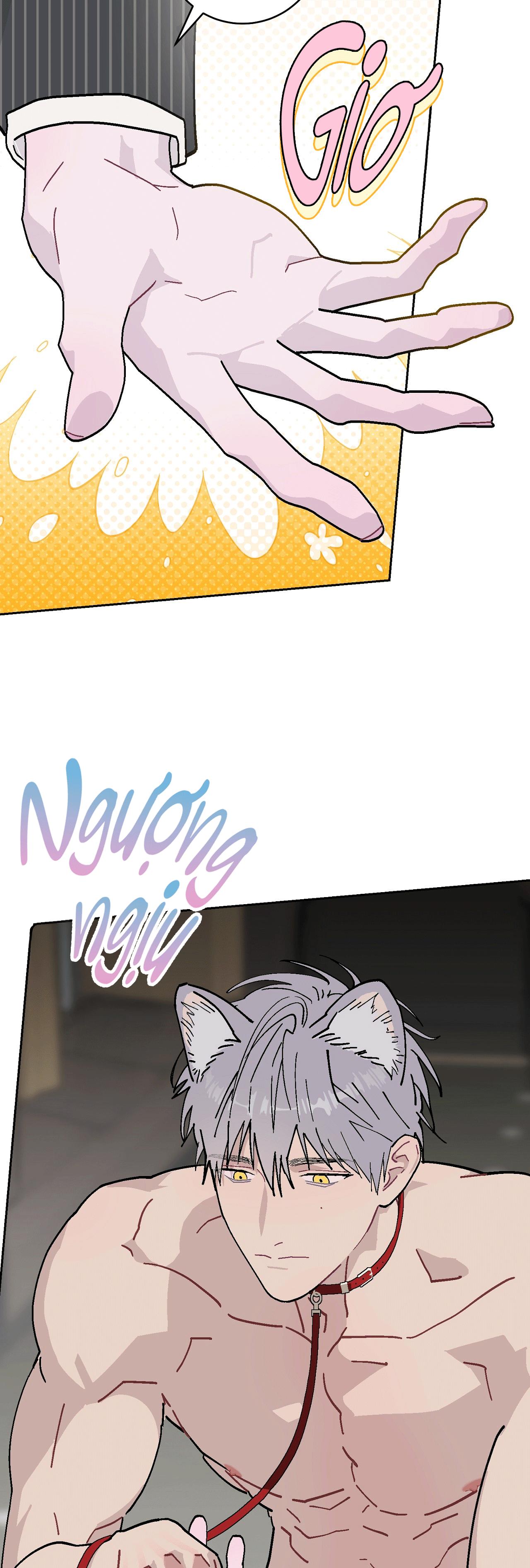 GUIDE ESPER NGẮN Chapter 4.7 esperđịnhmệnhnt - Next Chapter 4.8 esperđịnhmệnhnt