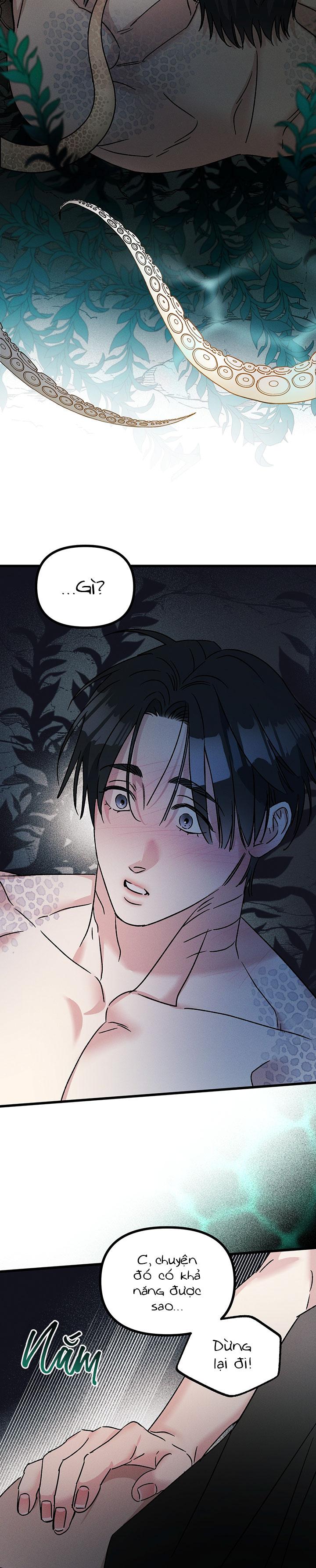 Mermaid's Cradle Chapter 4 - Next 